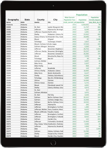 Spreadsheet Report on an iPad